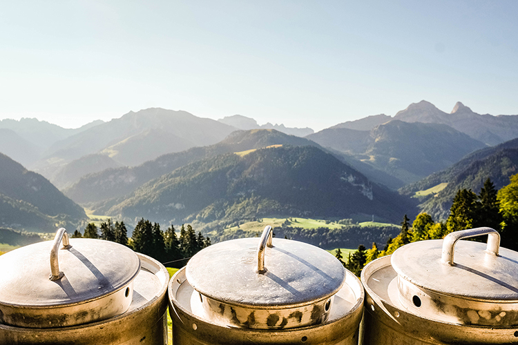 Le compagnon indispensable de vos pique-niques